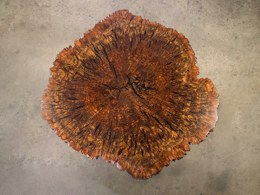 Claro Walnut Burl Coffee Table