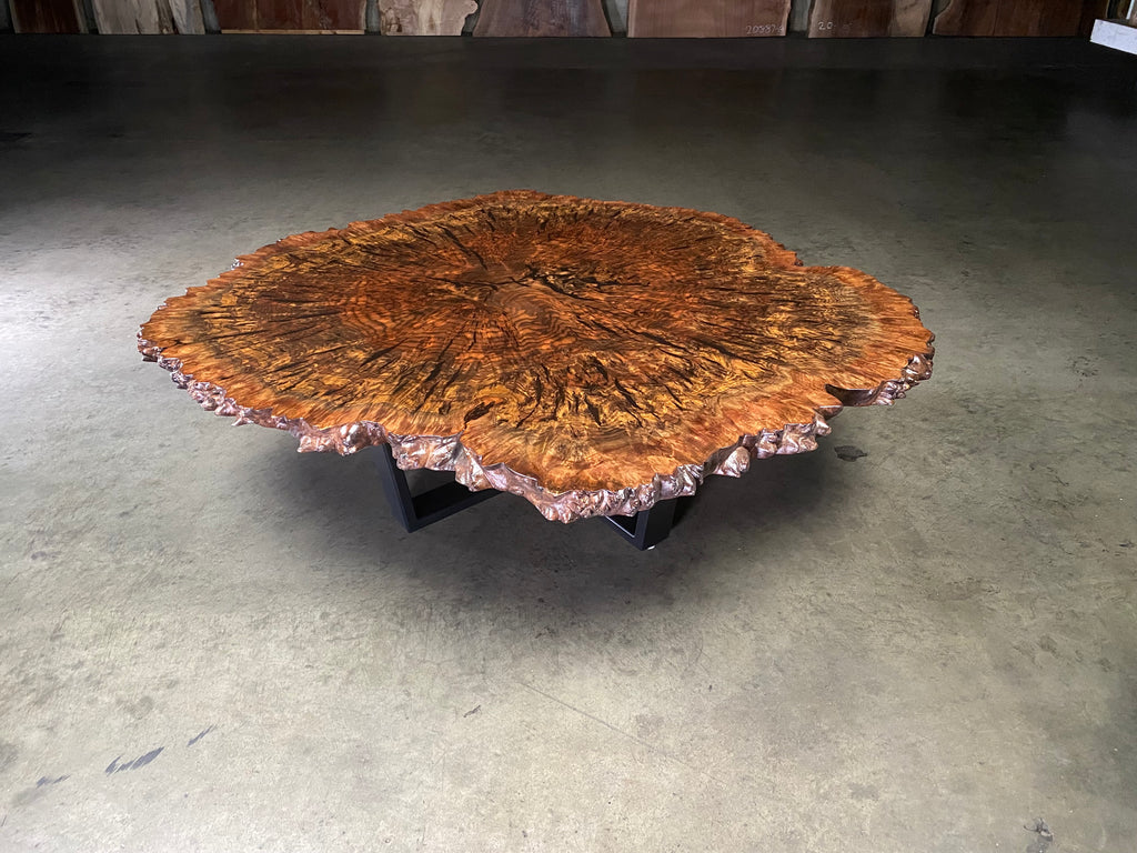 Claro Walnut Burl Coffee Table