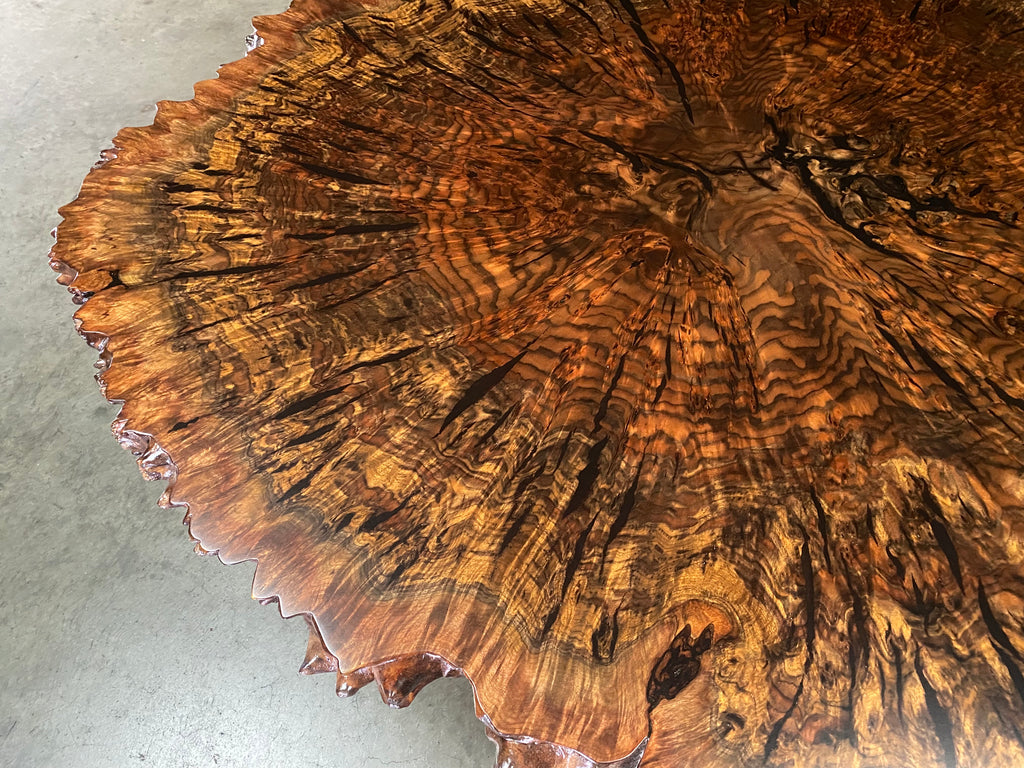 Claro Walnut Burl Coffee Table