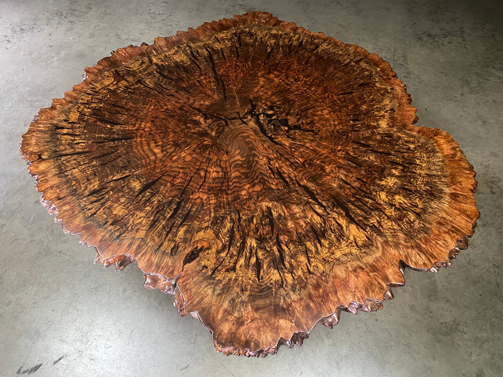 Claro Walnut Burl Coffee Table