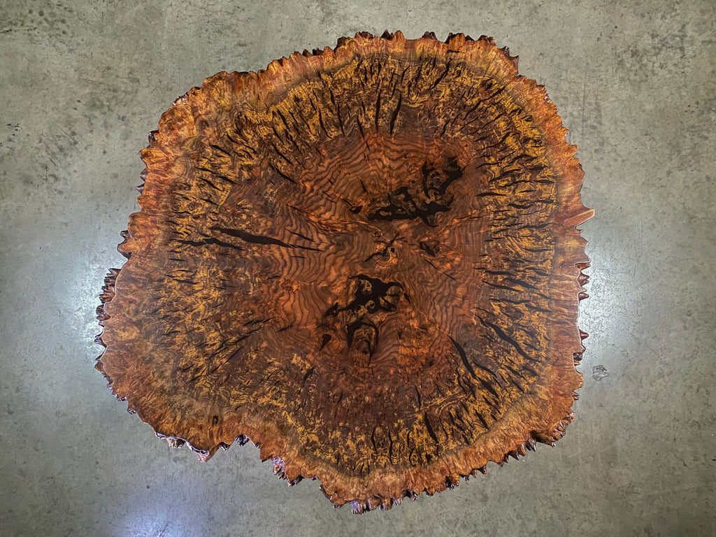 Claro Walnut Burl Coffee Table