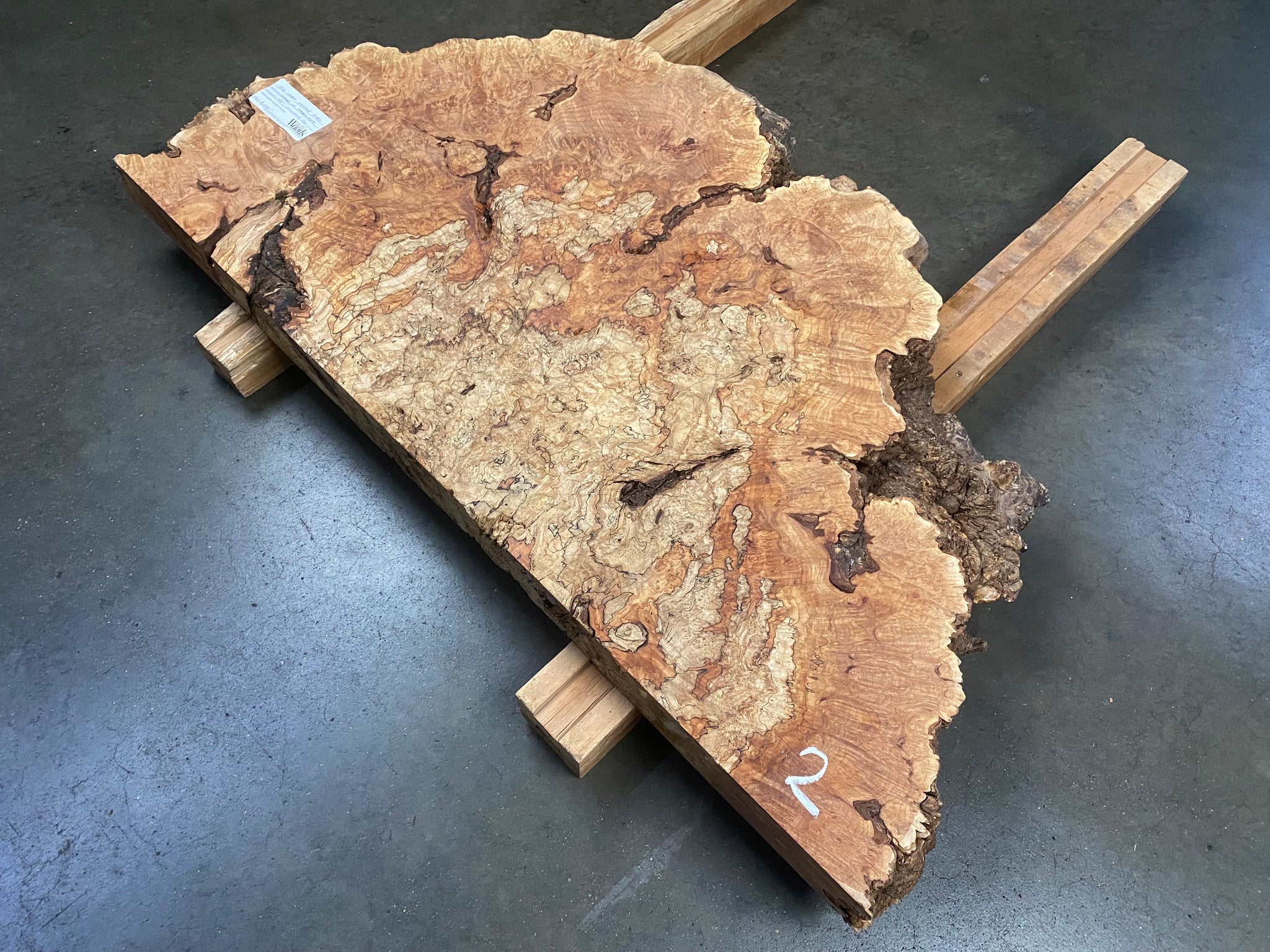 Highly Figured Maple Burl Slab popular 7