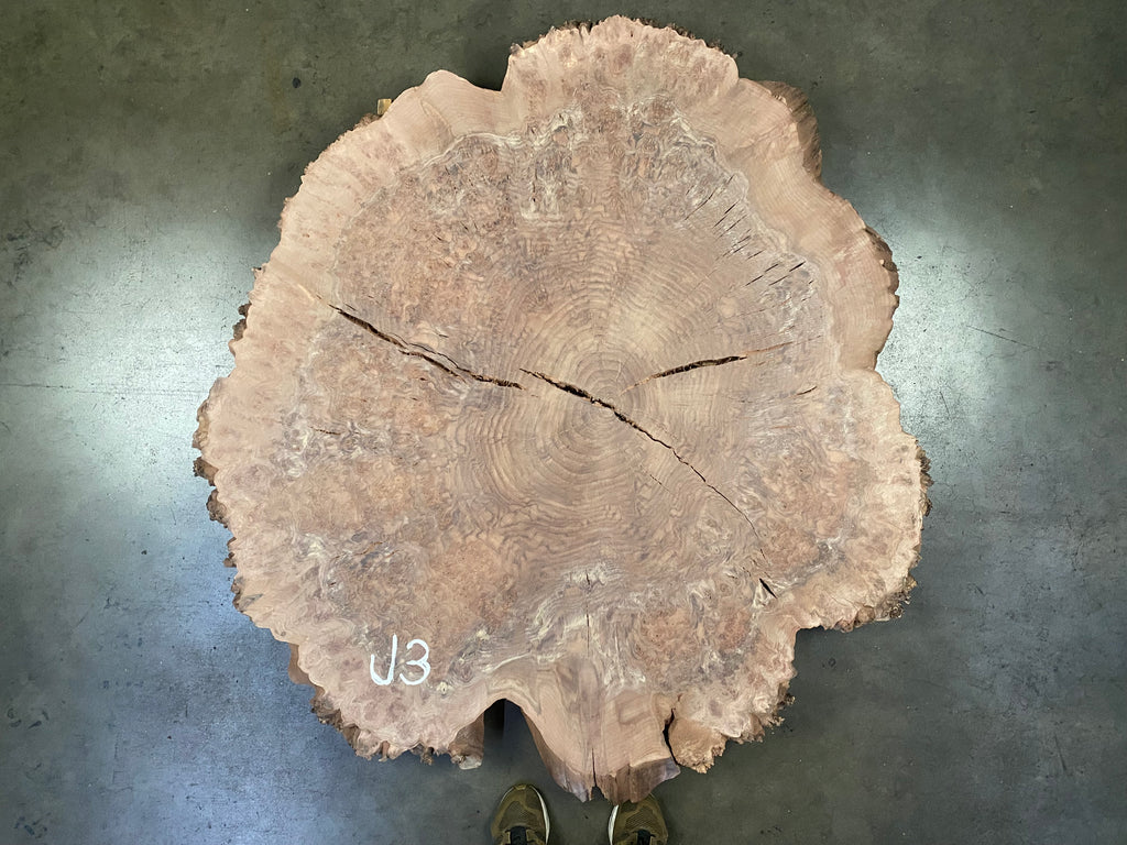 Claro Walnut Burl #J3 (50" x 54" x 2")