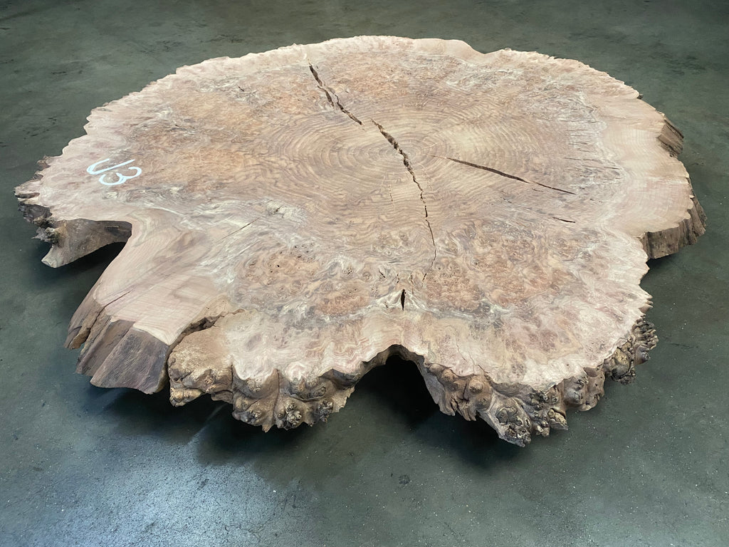 Claro Walnut Burl #J3 (50" x 54" x 2")