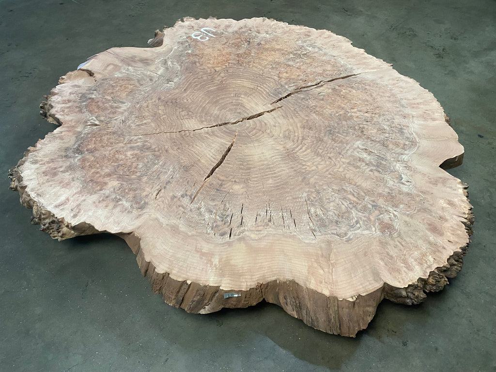 Claro Walnut Burl #J3 (50" x 54" x 2")