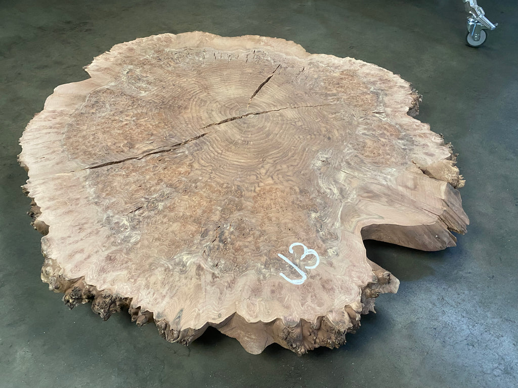 Claro Walnut Burl #J3 (50" x 54" x 2")