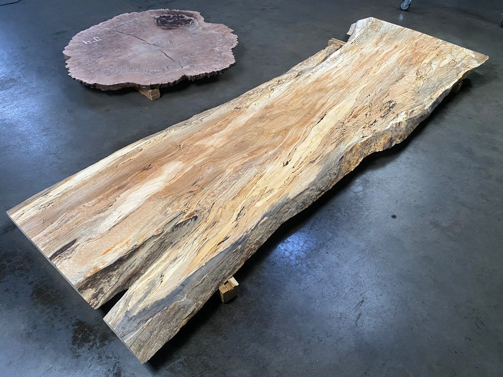 Maple (121" x 37" - 42" x 2.125")