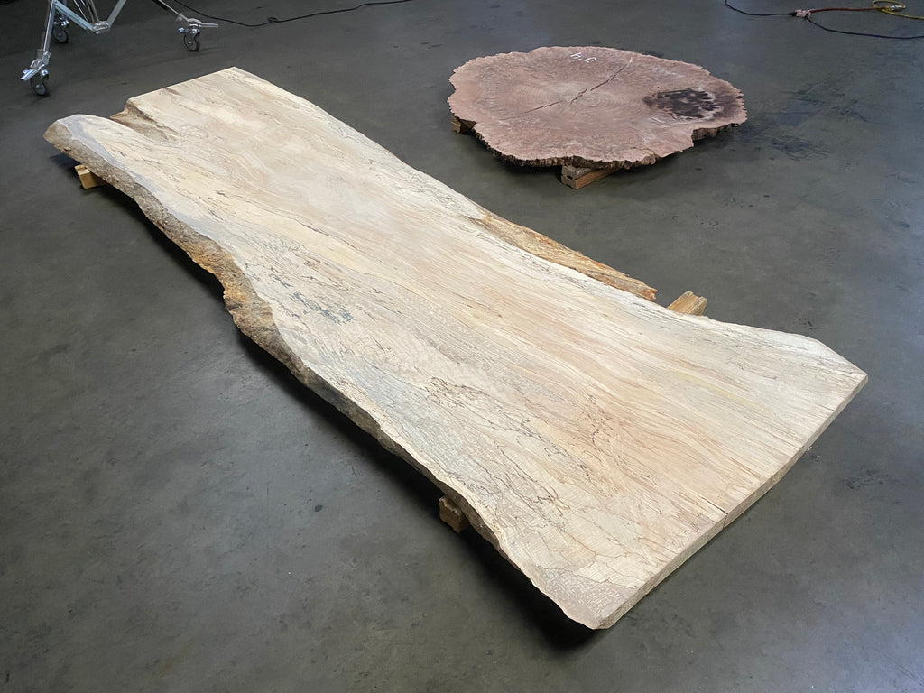 Maple (121" x 37" - 42" x 2.125")