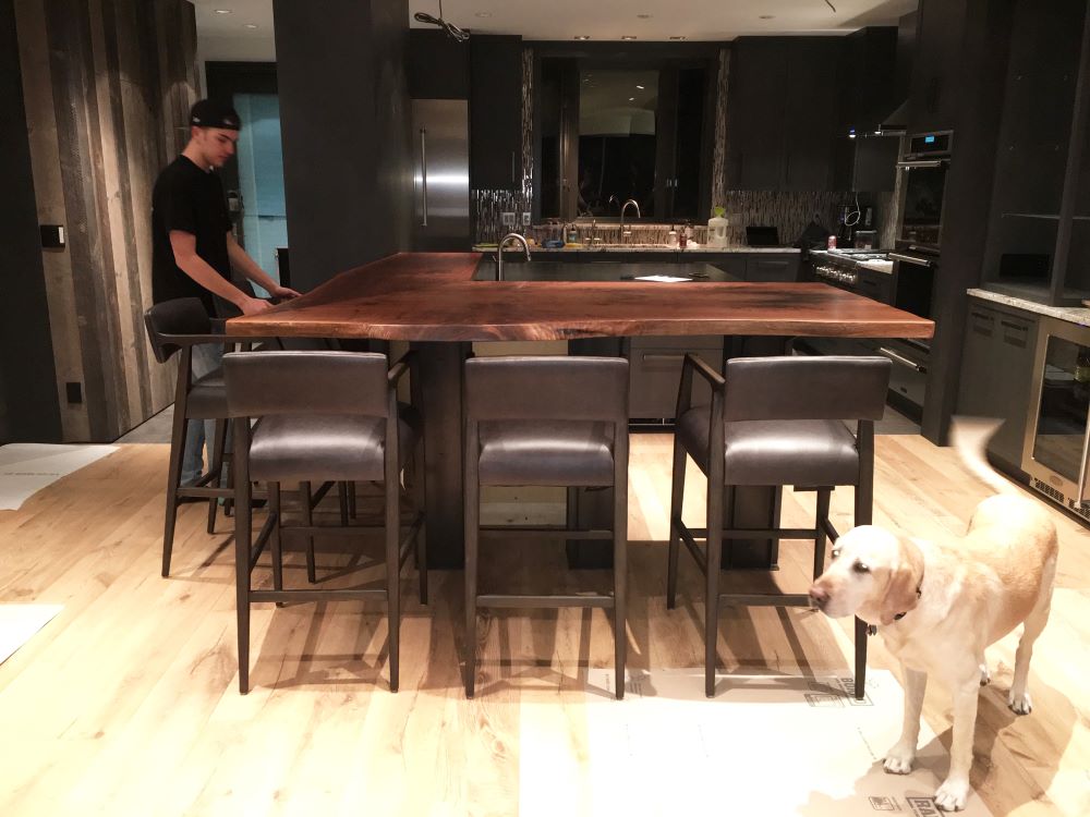Luxury for the family with live edge slab walnut kitchen counter top, teenager and dog. 