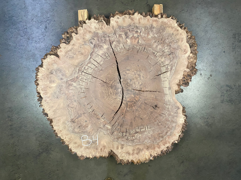 Claro Walnut Burl #B4 (41" x 50" x 1.875")