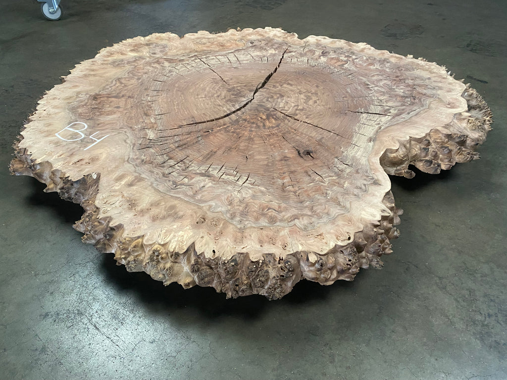 Claro Walnut Burl #B4 (41" x 50" x 1.875")