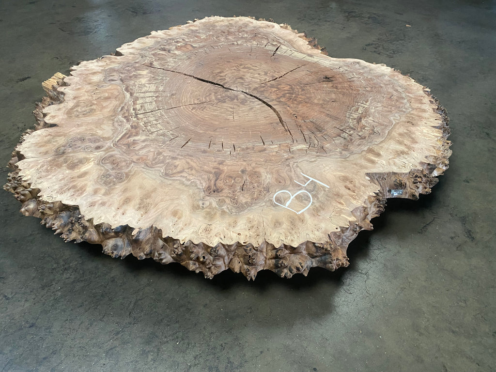 Claro Walnut Burl #B4 (41" x 50" x 1.875")