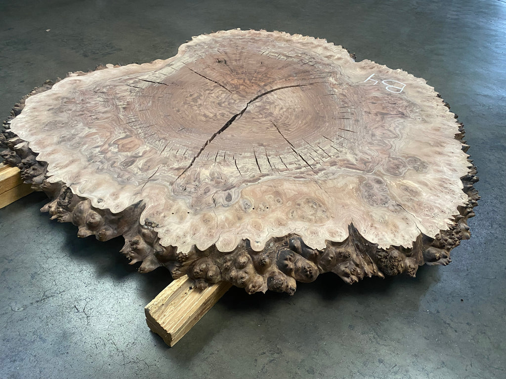 Claro Walnut Burl #B4 (41" x 50" x 1.875")