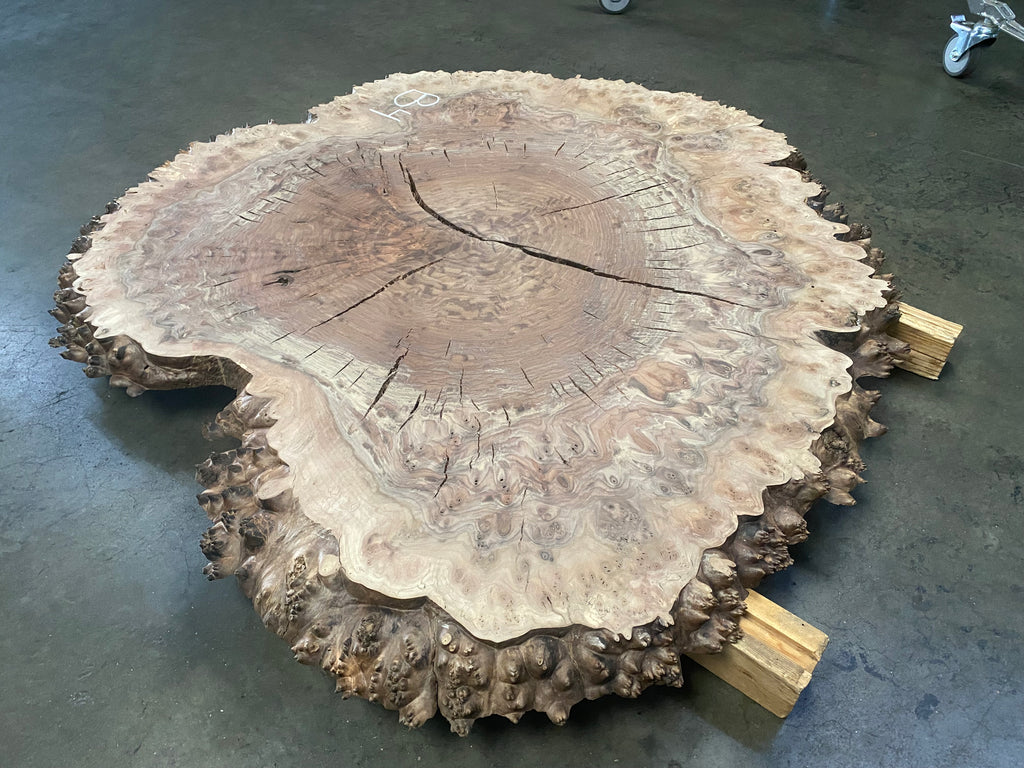 Claro Walnut Burl #B4 (41" x 50" x 1.875")