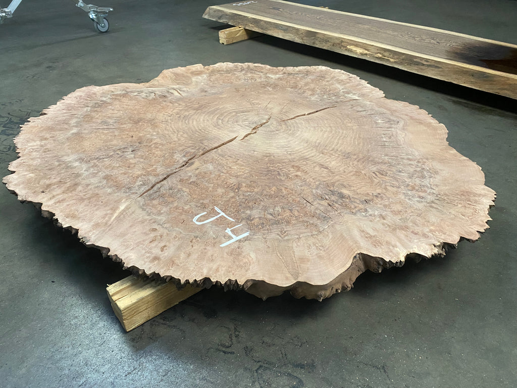 Claro Walnut Burl #J4 (48" x 48" x 2")