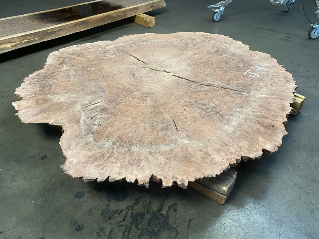 Claro Walnut Burl #J4 (48" x 48" x 2")