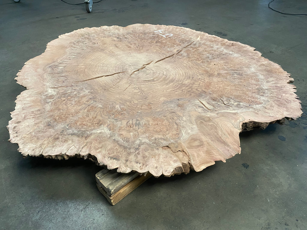 Claro Walnut Burl #J4 (48" x 48" x 2")