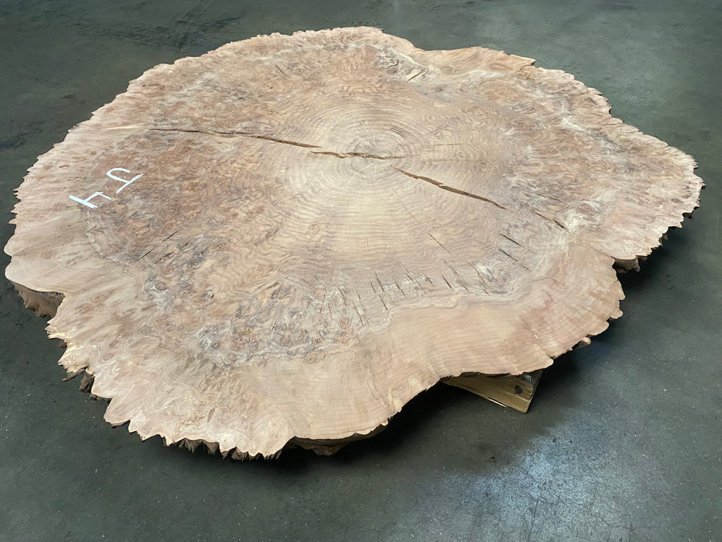 Claro Walnut Burl #J4 (48" x 48" x 2")