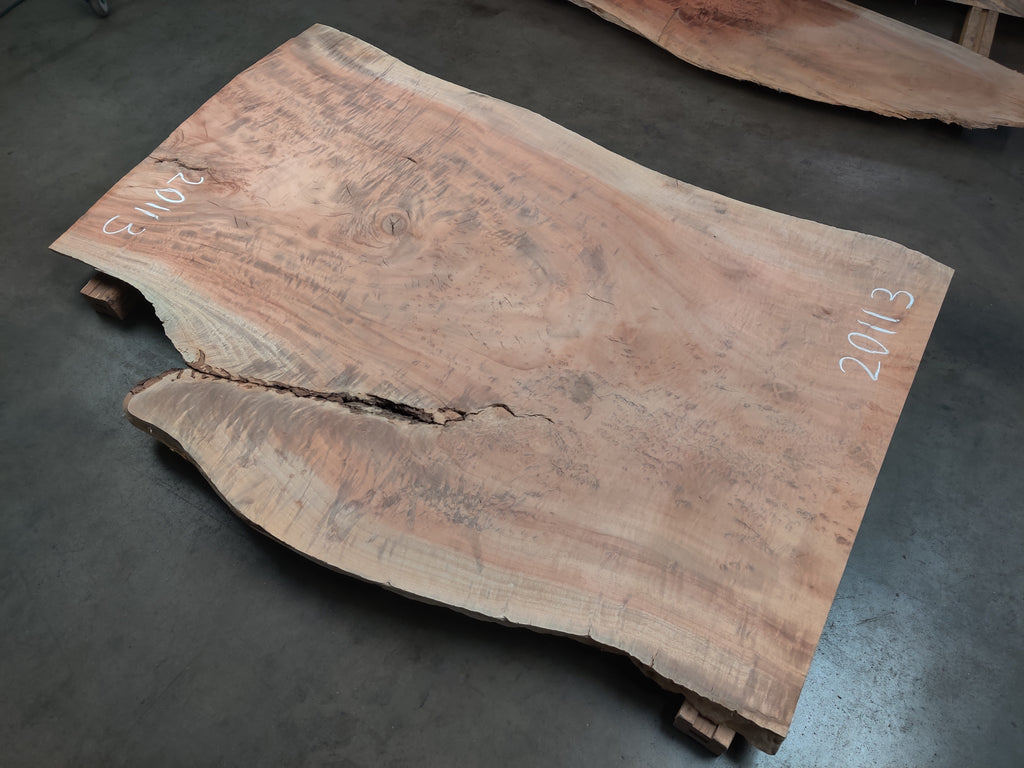 Queensland Maple #20113 (71" x 40" - 51" x 2")
