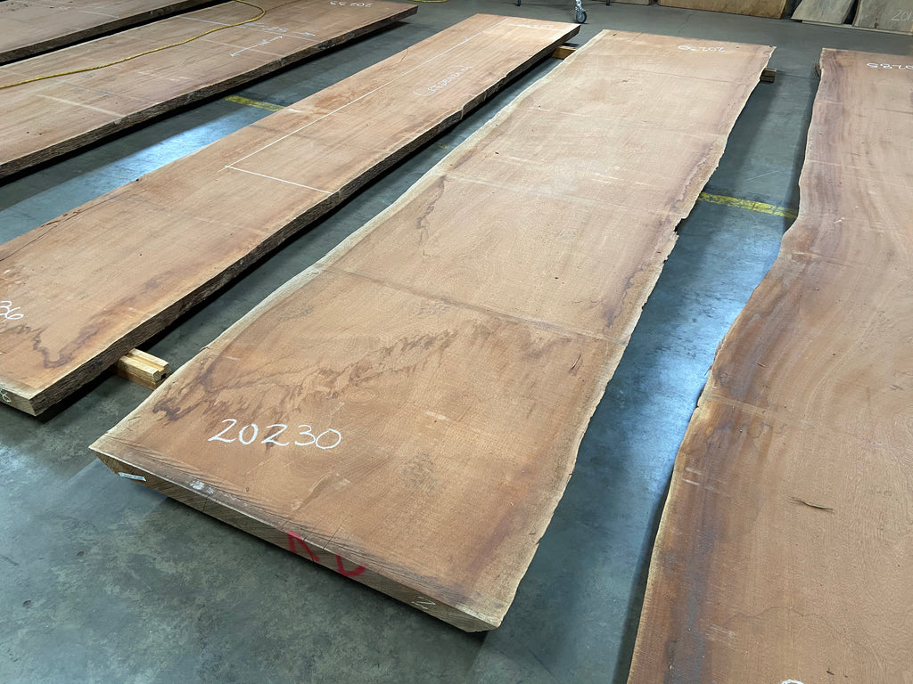 A live edge sipo mahogany slab of wood – Collector's Specialty Woods