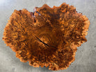 Burl Coffee Table